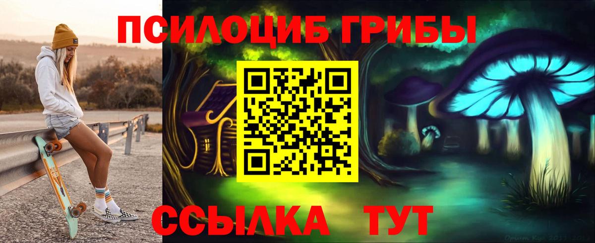 дарнет шоп  Псилоцибиновые грибы Magic Shrooms  Вход с VPN  Галлюциногенные грибы Psilocybine cubensis  Губкин 